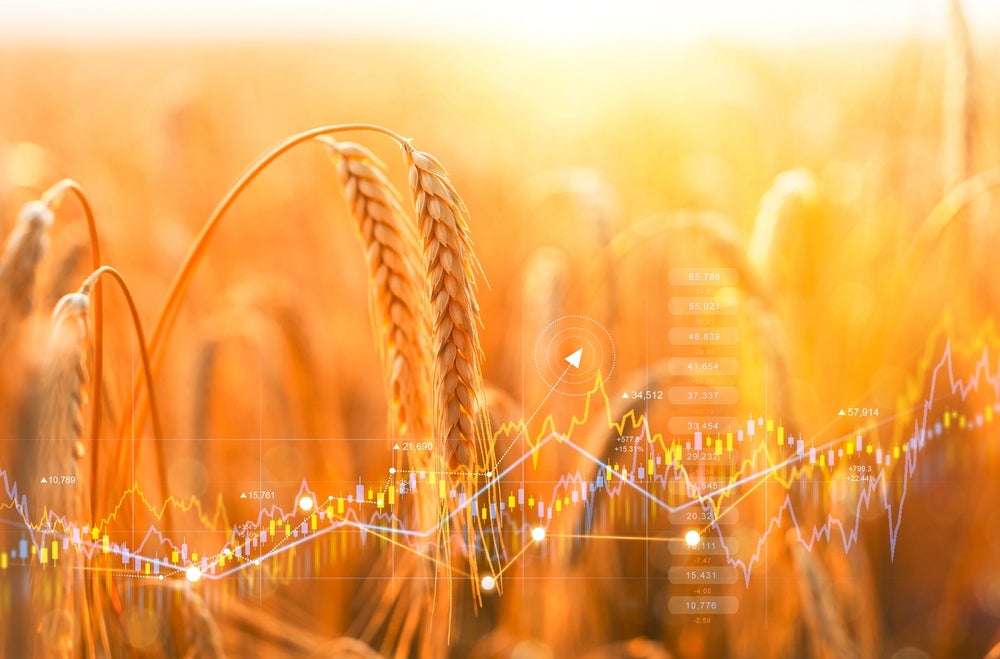The Russia Ukraine War Is Exacerbating International Food Price