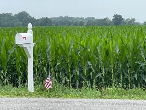 Why the US‑Canada trade war could change how American farmers grow their crops for years image